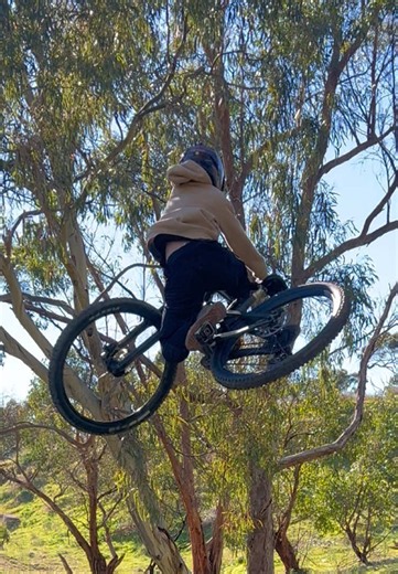 Niche | #clayton #santacruz #VPP #steez #fyp @🧟‍♂️Axel🧟‍♂️ @dillon_shorty @Abe-Skeggs @Darcy Menzies @__.jett.__ @Carter_Taylor @nik_the_squid @Sheá🎭 @Lachy Murdoch soz if forgot