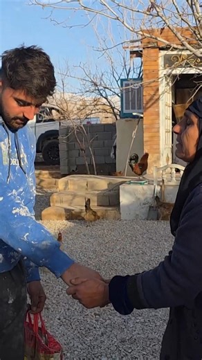 Grandma's sorrow and the master builder's unusual surprise 11 #life #family #living #goodmother | Natural Lives