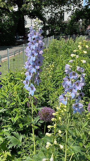 Аnastasia ⁎⁺˳✧༚ on Instagram: "Outfits of the week🍓🫐"