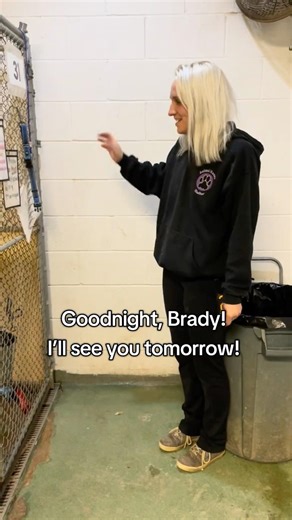 Brady