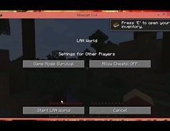 Minecraft über LAN spielen - so ist es möglich