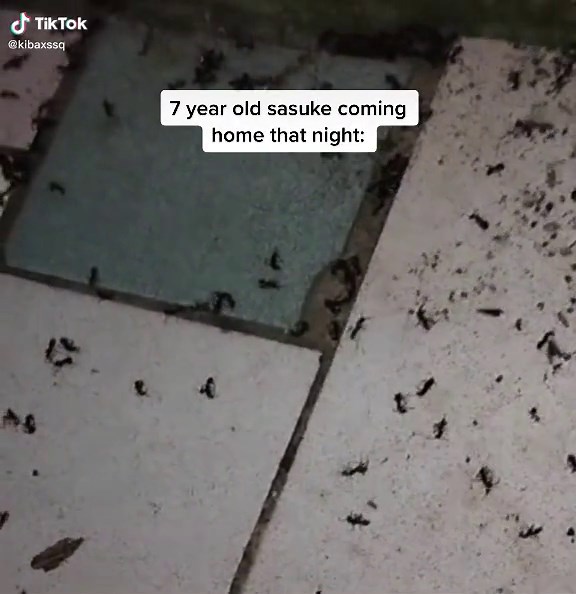 Sasuke Uchiha's Return After the Massacre