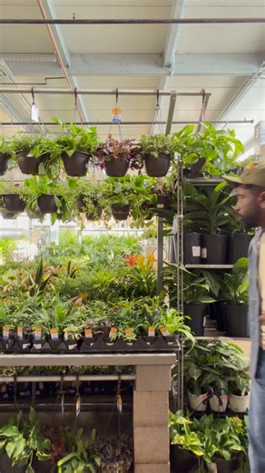 Loren believes a house becomes a home through time, care and pieces that inspire. It’s those thoughtful details that create warmth and make a space truly welcoming. 🎥: fitting_in_now on IG | The Home Depot