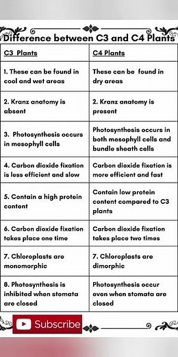 #difference between C3 and C4 Plants