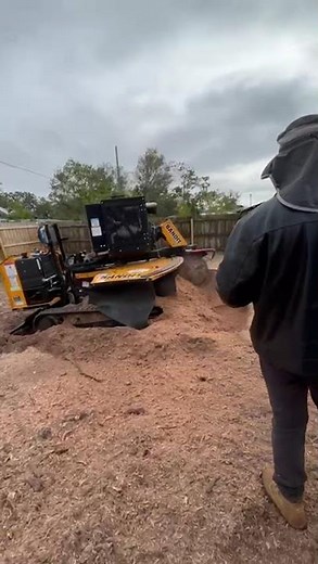 Stump Grinding Made Easy 🌳 | Watch How We Remove This Stubborn Tree Stump!