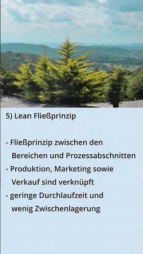 Lean Management in der Produktion | acht Säulen der Lean-Production-Methode ⛩ #tps #kaizen