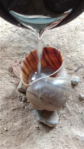 Crafting metallic garden art from aluminum shells #shorts #restoration #art #reels