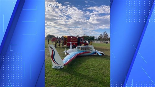 Woman hit by plane in soccer field, survives