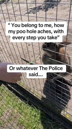 🦔Emma 🦔 (@emma_lou_86)’s videos with original sound - Coxy