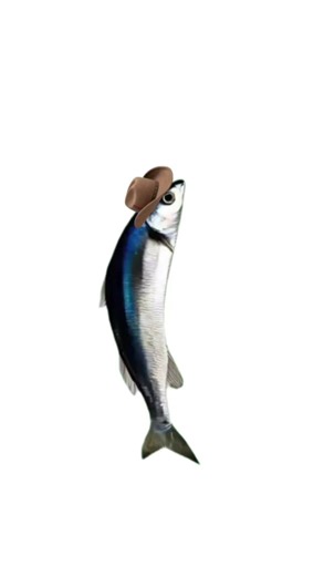 Spinning Fish: Hilarious Moments with Pets