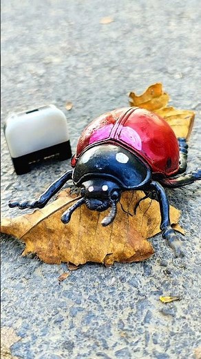 RC realistic 3d Ladybug unboxing 🐞#shorts