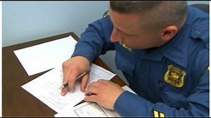 Texas Temporary Restraining Order PDF Form - FormsPal