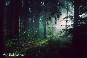 Alice's Adventures in Wonderland Chapter 7, by Lewis Carroll