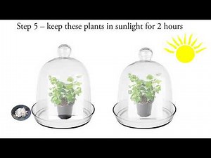 Activity 6.2 Science Class 10 Biology