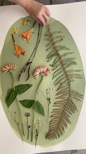 7.5K views · 72 reactions | Cyanotype printing, prints available in the shop, tutorial available link in bio #cyanotype #photography #collectart #printing #artprocess | Katharine T. Jacobs Fine Art | Facebook