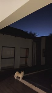 31K views · 694 reactions | Le Fxcoen car | Tyler ICU | Facebook