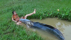 6.8M views · 108K reactions | Unique Hand Fishing - Attrapez les gros poissons-chats à la main dans les flaques d’eau - Compétences de pêche à la main | Découvrir TV | Facebook