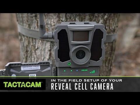 In the field setup of your Reveal Cell Camera