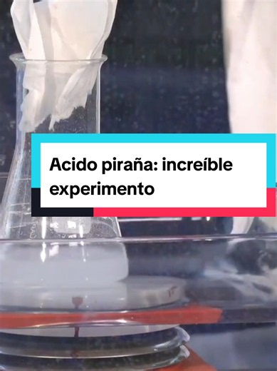 Mezcla piraña: experimento de quimica extremo🤯 #experimento #quimica #ciencia #acidopiranha #curiosidades @Jordi Wild