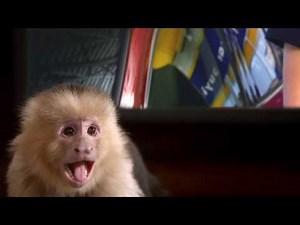 CARMAX - MONKEY - SUPERBOWL