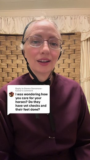 Exploring the Amish Culture Through Books and Memoirs