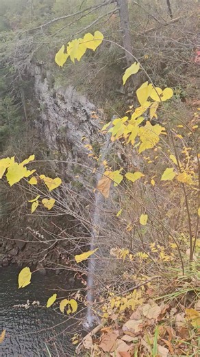 Tom Noonan on Reels | Facebook