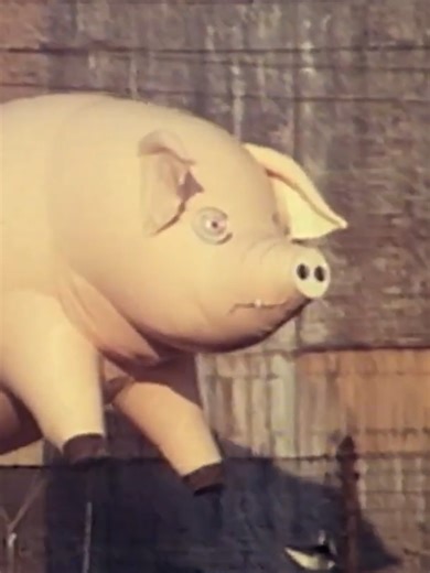 When Pigs Fly: Pink Floyd's Iconic Inflatable Pig