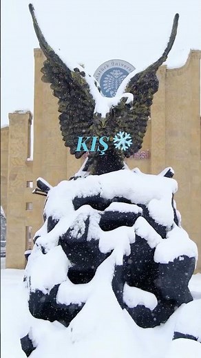 Four Seasons Campus 🍂❄️🌸🌞