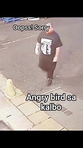 Angry bird | Annie Moner