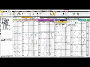 Stratigraphic correlation Petrel