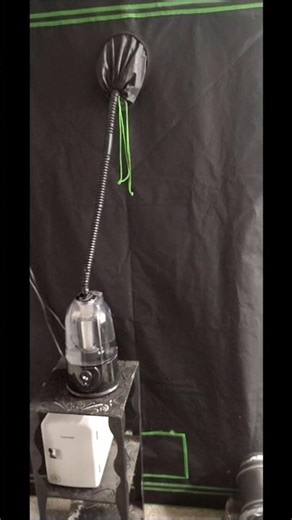 My lab set up for mycology. #mycology #agar