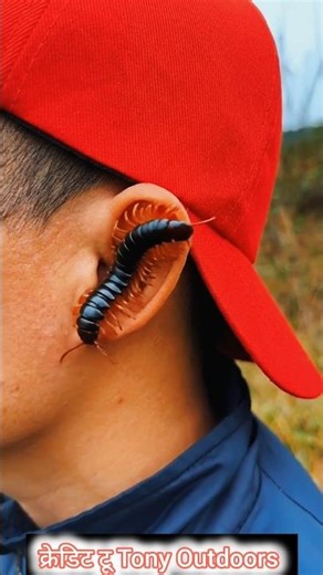 Survival Skills: Useful and Clever #outdoors #survival #campfire #bushcraft