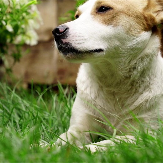 #village #food #foodvlog #asmr #cooking | TikTok