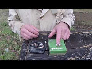 .380ACP Ammo Selection.