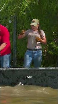 BEATING THE HEAT | Swamp People | #Shorts