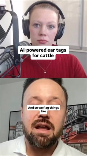 AI-powered ear tags from Ori Cattle are changing the way producers manage their herds. 🐮 These smart tags don’t just track location — they monitor health, detect early signs of illness, and even alert ranchers when cows are going into labor. The system learns each herd and operation, giving producers tailored insights that save time, reduce losses, and make herd management easier. #agriculture #farming #farmlife #cattle #ranchlife | Rural Radio Network