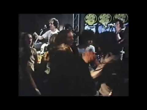 Bees Make Honey - Don't Stop Now