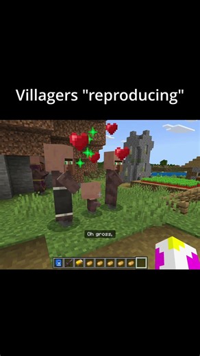 #minecraft #minecraftshorts #gameplay #gaming #villagernews