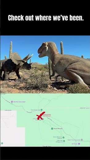 Exploring the Arizona-Sonora Desert Museum — Tucson’s Wild Desert Wonderland! 🦅🌺 #desertadventures