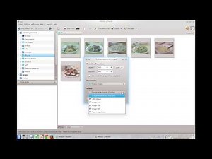 Traitement par lot, Gthumb