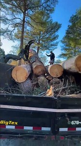 Jireh Tree Services Landscaping