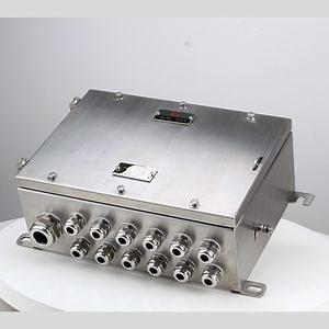 [Hot Item] Iecex Certified Manufacturing Stainless Steel IP66 Explosion Proof Metal Junction Box Extension Explosion-Proof Housing