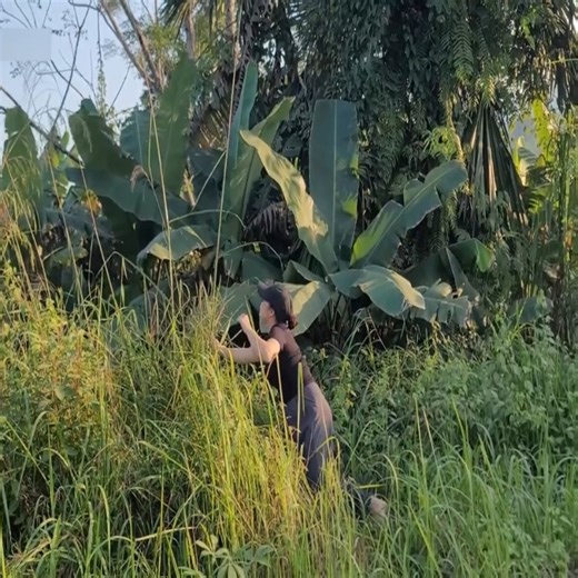 Challenge the girl to restore the 29-seat Hyundai passenger van abandoned by its previous owner | Pues