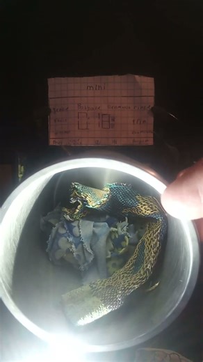 Start washing machine Mini. SteamWash 40° 600 rpm 2t rinse