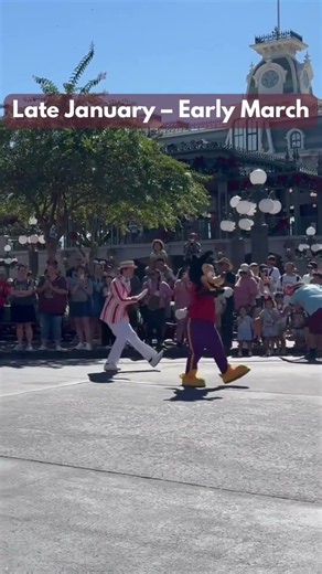 Want shorter wait times, cooler temperatures, and a more relaxed Disney vacation?