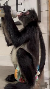 38K views · 4.4K reactions | Wishing you all a good night  | Our Life Adventures | Facebook