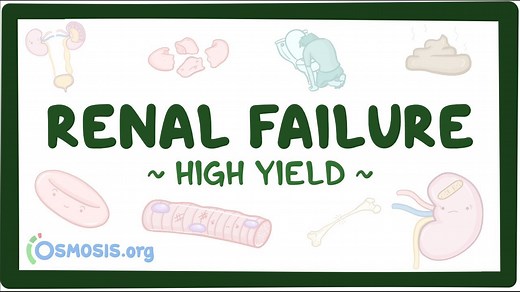 Renal failure: Pathology review: Video, Causes, & Meaning | Osmosis