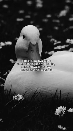 L #sadvibes #drunktext