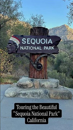 Sequoia National Park, California - Giant Trees, Scenic Drives & Stunning Forest Views