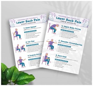 Chair Exercise for Lower Back Pain, Chair Yoga for Seniors, Seated Back Stretches for Back Pain Relief, Mobility Exercises, Flexibility - Etsy